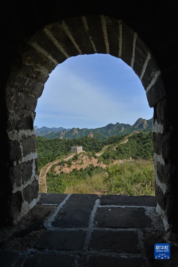 大型的棋牌平台